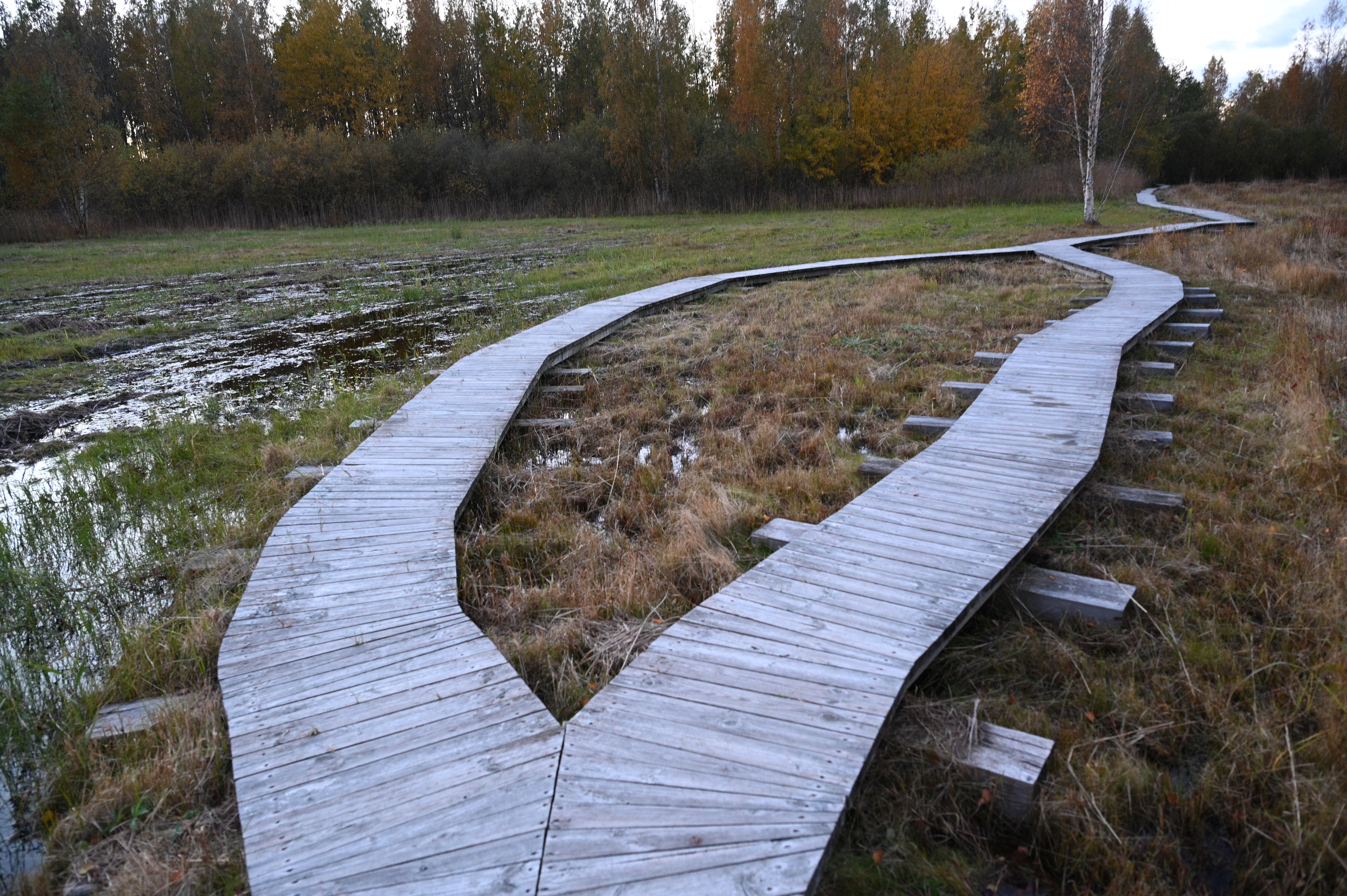 2025/10/18 - walk/DSC_0550.JPG